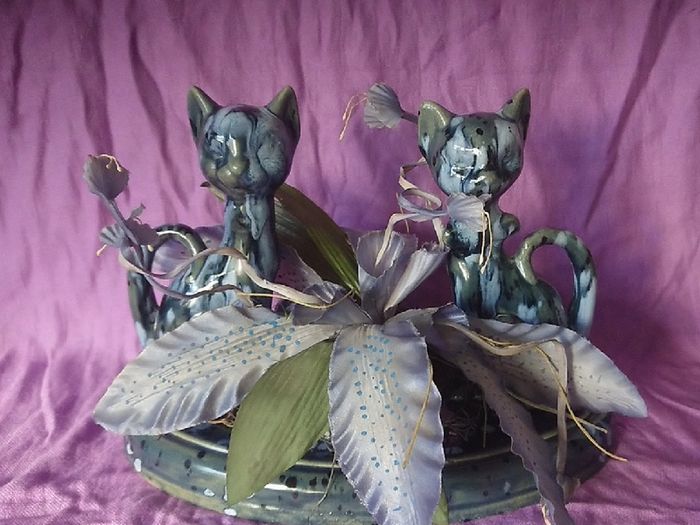 Cats