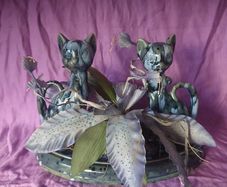 Cats