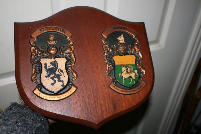 2 Personalized Double Irish Coat of Arms Knight Shield Plaque