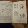 The Observer's Book Of Trees. Minature 1968 Hardback In Good Condition.  See Photos For Same. Image 8
