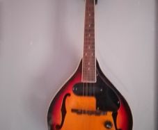 Mandolin