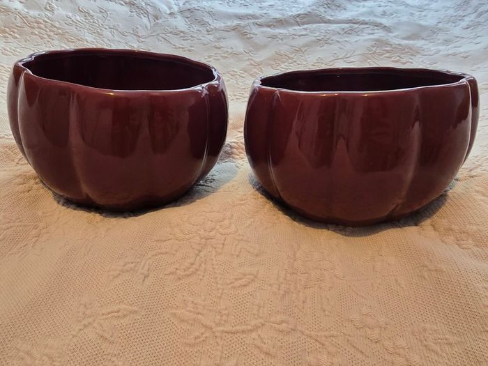 Beautiful Coincasa Bowls