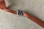 Genuine Pandora charm