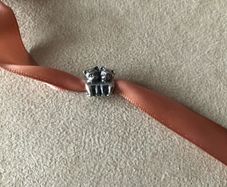 Genuine Pandora charm