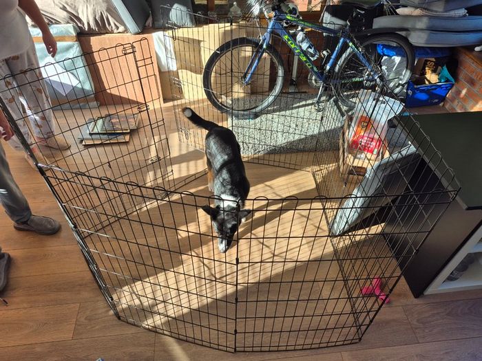 Metal dog playpen