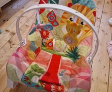Fisher price bouncer