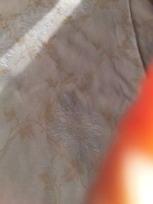 drapes