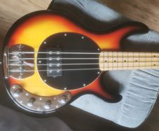 vintage reissue v96 bass