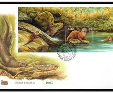 2002 Ireland Irish Mammals Otter Commemorative Stamp Miniature Sheet An Post First Day Cover (FDC)