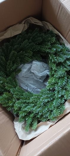 Neptune Poppy Sturley Alpine Wreath.