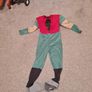 DC comics Robin Costume Image 6