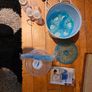 AVENT Express Electric Steam Steriliser. Image 6
