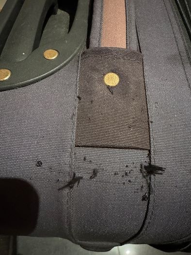 Black suitcase with brown trim