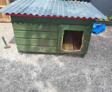 Dog House