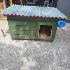 Dog House