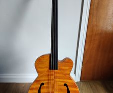 Aria Fretless Acoustic Bass FEB-F2/FL - Electro-Acoustic - Thomastik Strings - Gig Bag