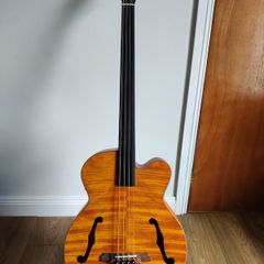 Aria Fretless Acoustic Bass FEB-F2/FL - Electro-Acoustic - Thomastik Strings - Gig Bag