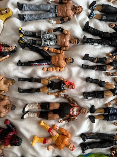wwe 50 wrestlers action figure lot
