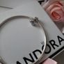 pandora Image 10