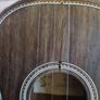 APC Portuguese Cavaquinho Image 6