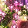 led Image 3