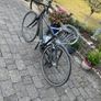 Bike Image 4