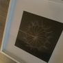 Large IKEA Framed Dandelion Print Image 2