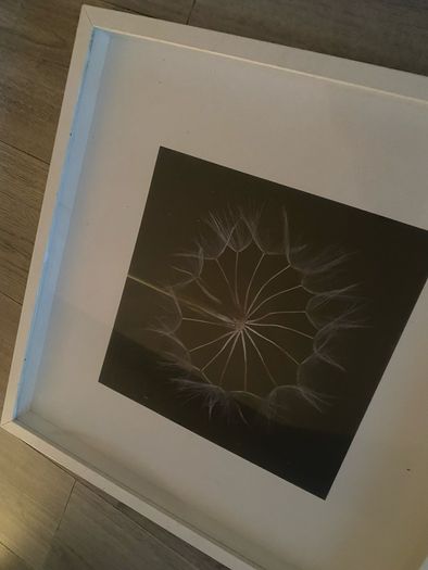 Large IKEA Framed Dandelion Print