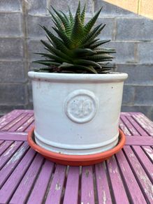 Set of 3 White Ceramic Plant Pots