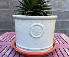 Set of 3 White Ceramic Plant Pots