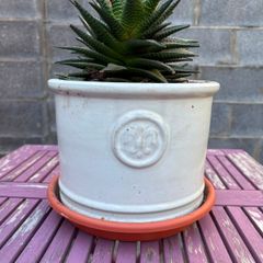 Set of 3 White Ceramic Plant Pots