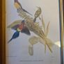 Lithograph Prints  x 2 By J Goulde & H C Richter. Walter Imp  I'll. Image 3