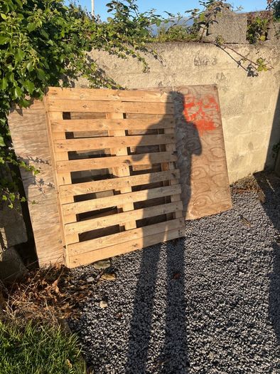 Pallets and Wood