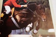 old horse and pony magazine 1984