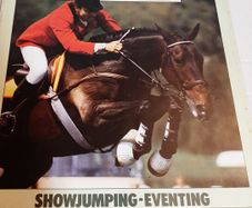 old horse and pony magazine 1984