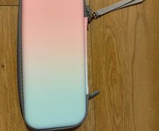 Nintendo switch case