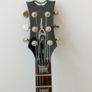 Dean Evo Special Select. Image 2