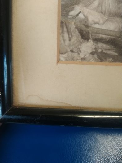 Vintage framed dog photograph