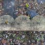 Reclaimed Reconstituted Stone Lawn/Border Edging Image 2