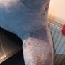 Brand new reading cushion from Dunnes Home Image 2