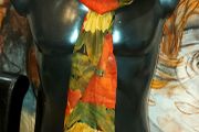 Flower Patterns  Scarf