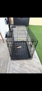 dog crate