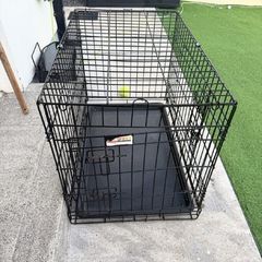 dog crate