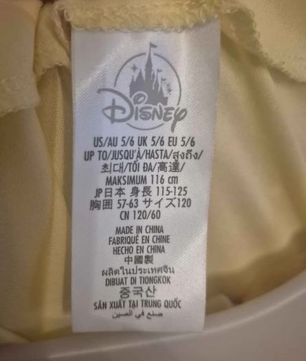 Beauty and the Beast costume.
