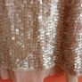 Sequin Top Image 2