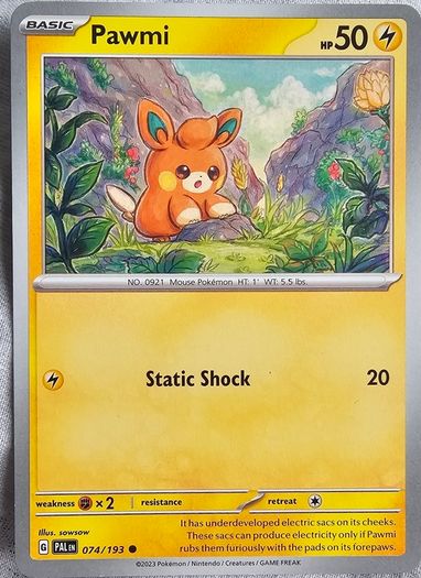 pokemon c