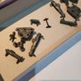 Battleship The Tactical Combat Game Image 8