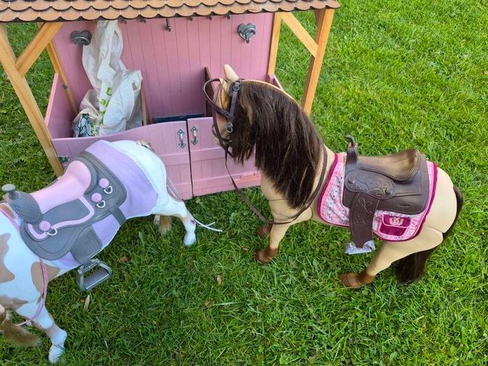 Our generation horse stable and horses