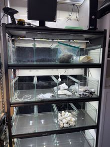 Aquarium breading compleat set including water top up sustem