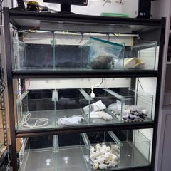 Aquarium breading compleat set including water top up sustem